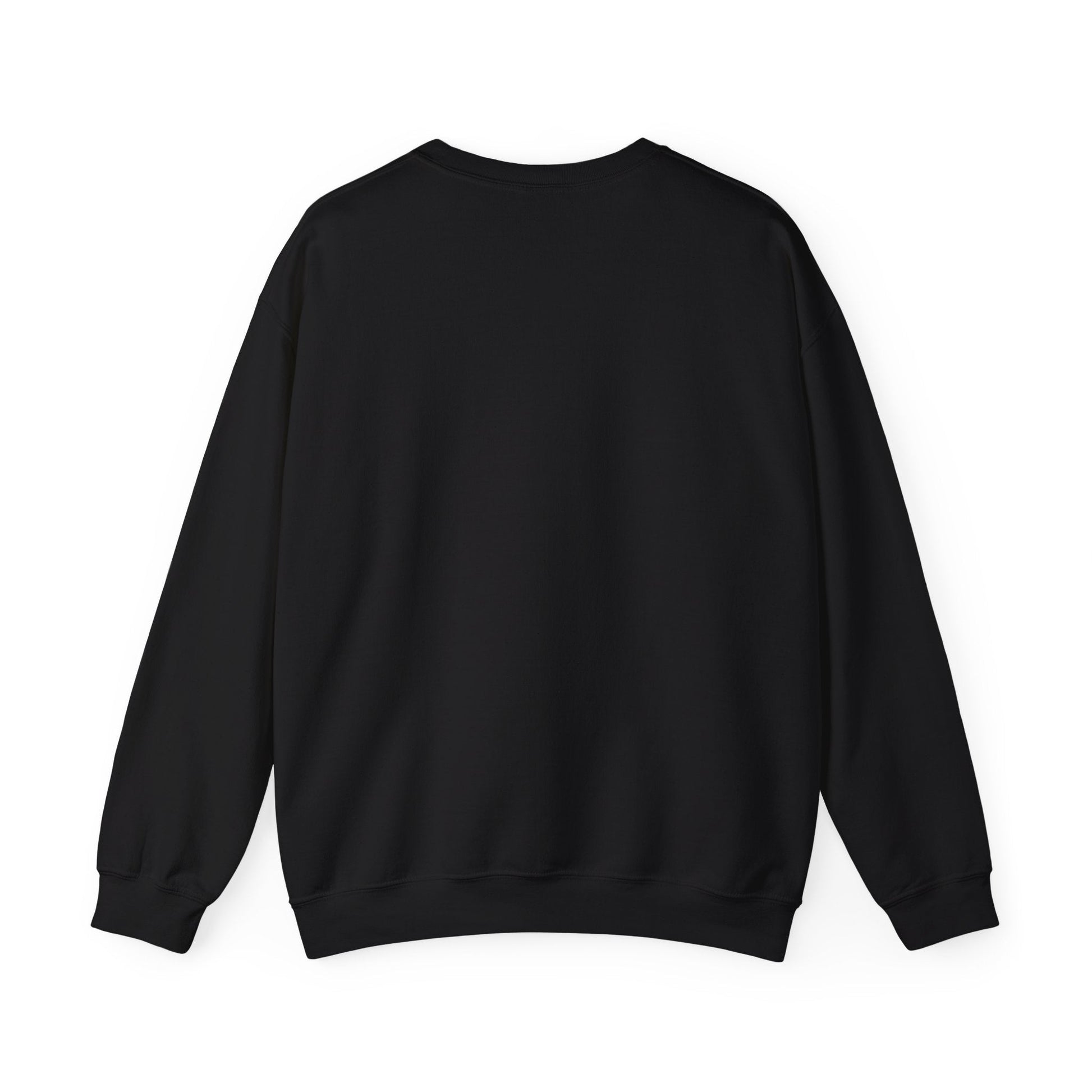 Mexicans Aren’t Going Anywhere Parody Sweatshirt Immigration Statement Sweater - Stonk Shark Co.